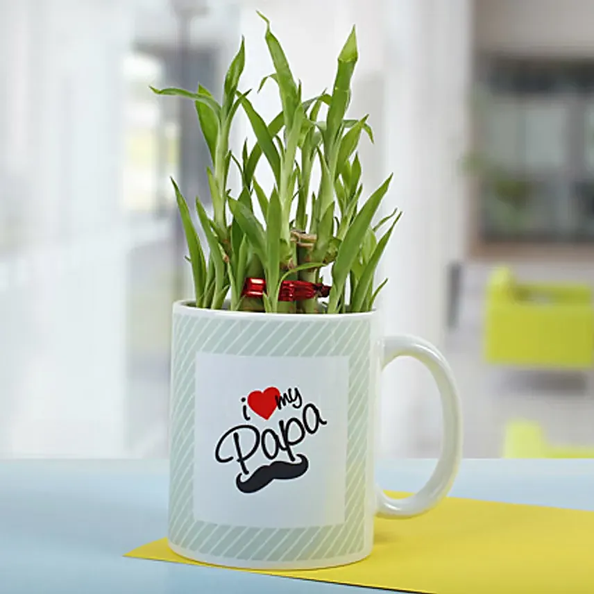 Elegant 2 Layer Plant Bamboo for Dad In Mug