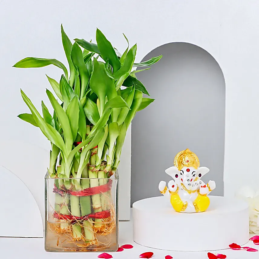 Bamboo Plant Blessings N Luminous Diwali