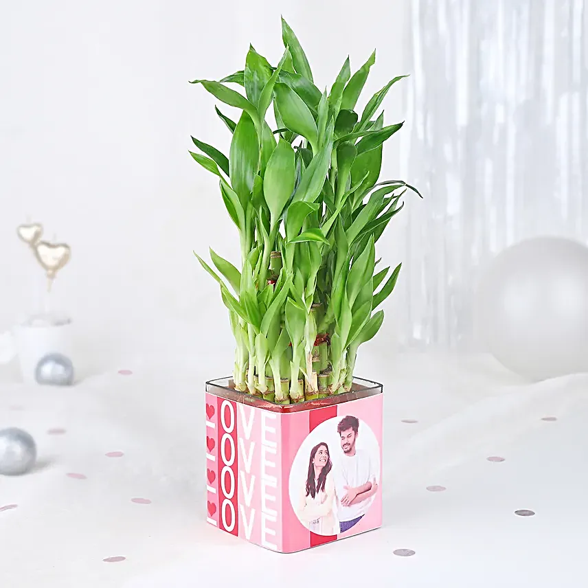 Bamboo Plant Whispers of Love