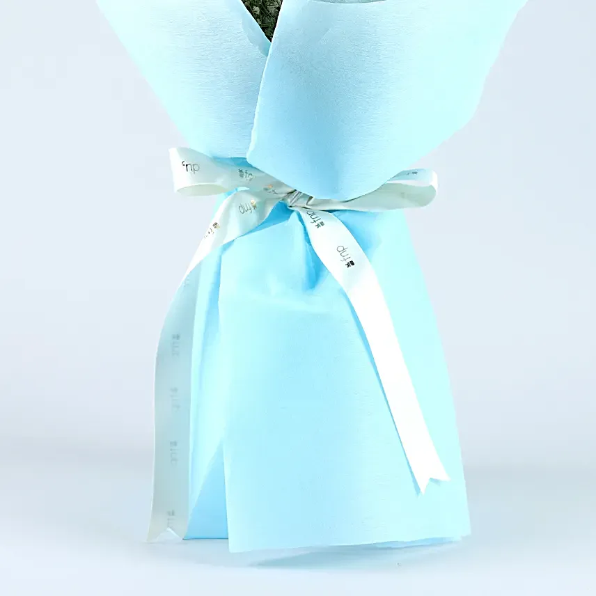 Beach Vibes Carnations Bouquet
