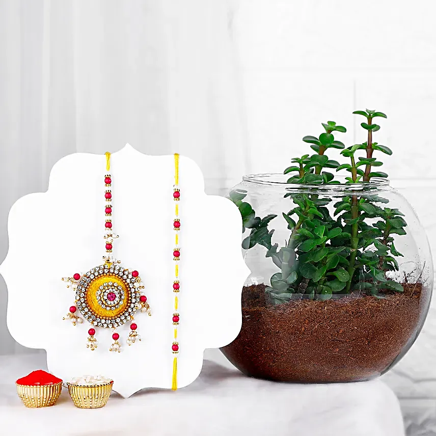 Beaded Love Bhaiya Bhabhi Rakhi N Jade Plant Rajwada Pot Gift