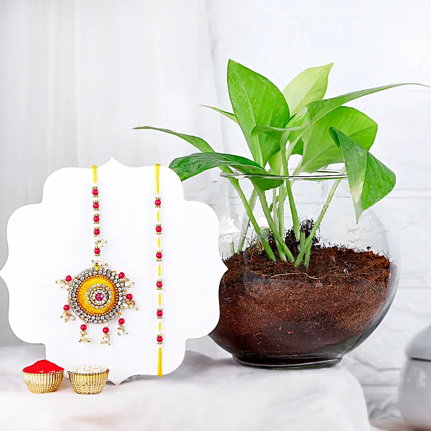 Beaded Love Bhaiya Bhabhi Rakhi N Money Plant Rajwada Pot Gift