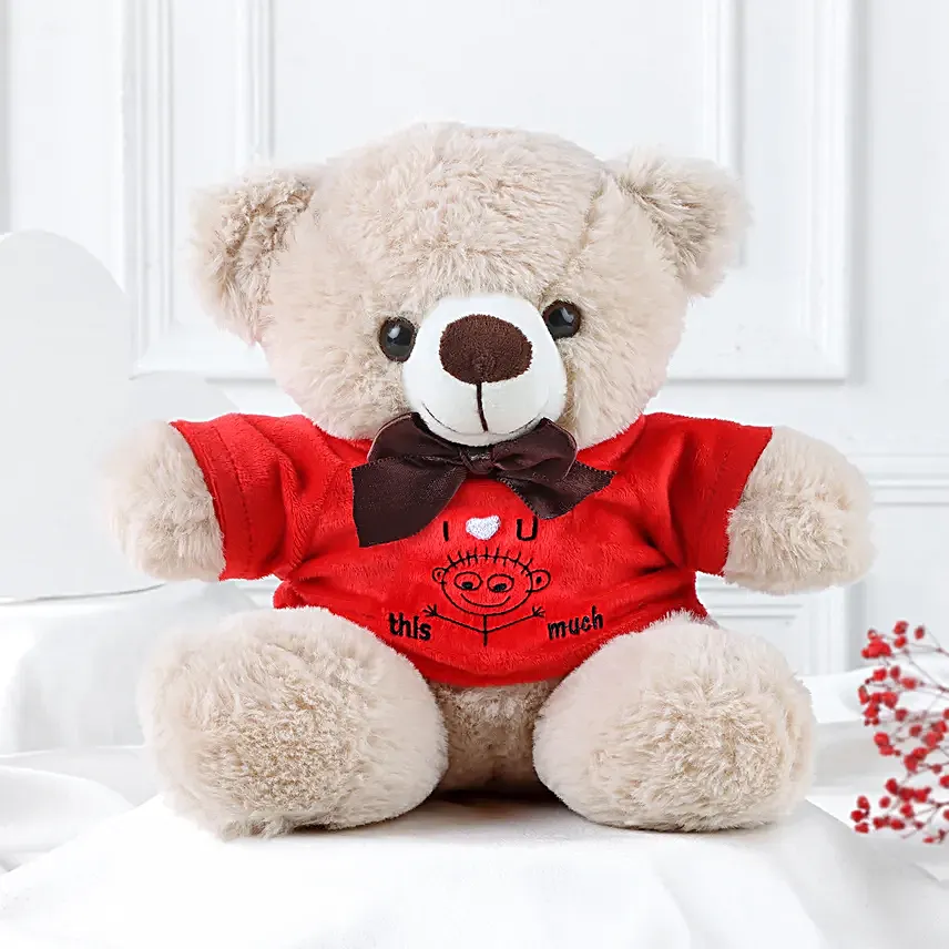 Beary Sweet Love Teddy