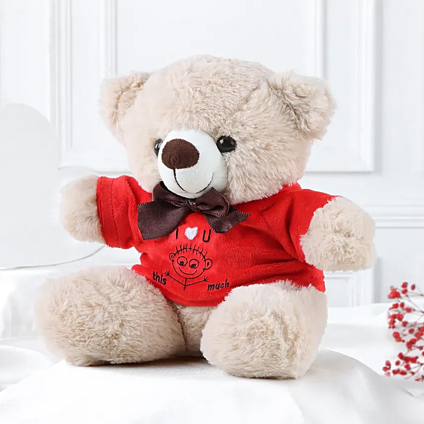 Beary Sweet Love Teddy