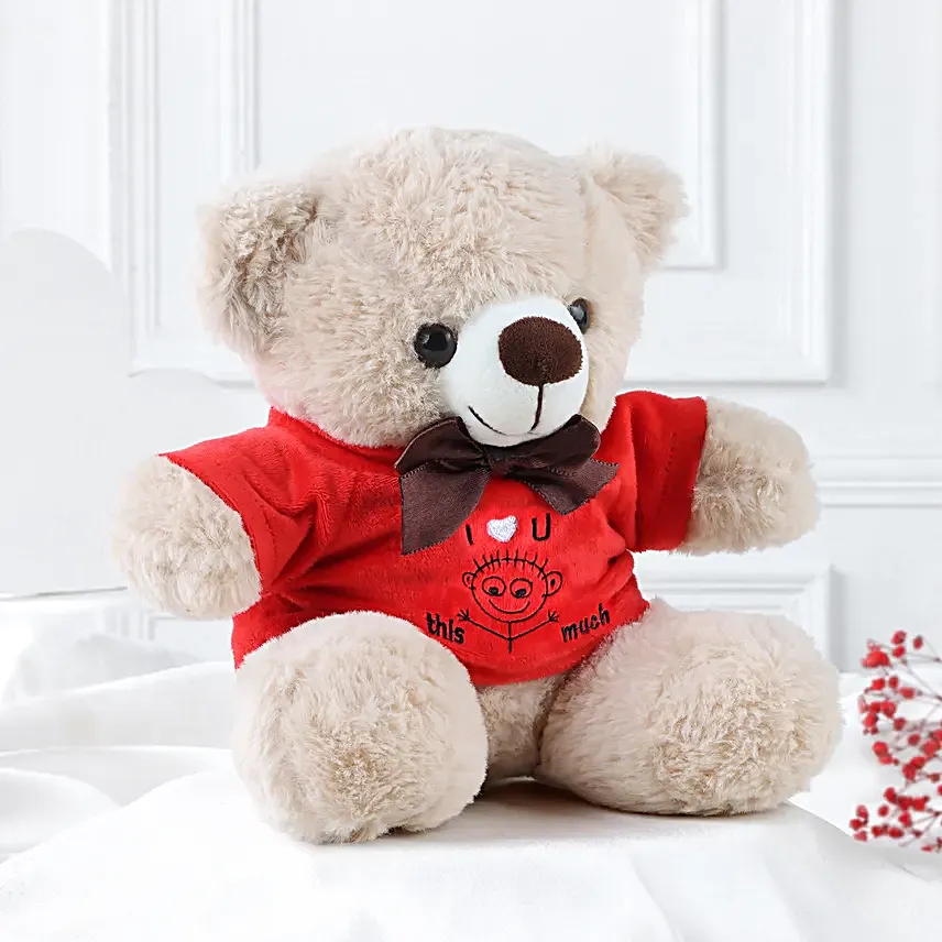 Beary Sweet Love Teddy