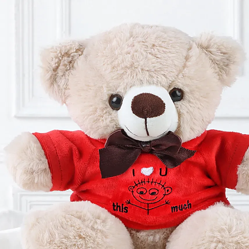 Beary Sweet Love Teddy