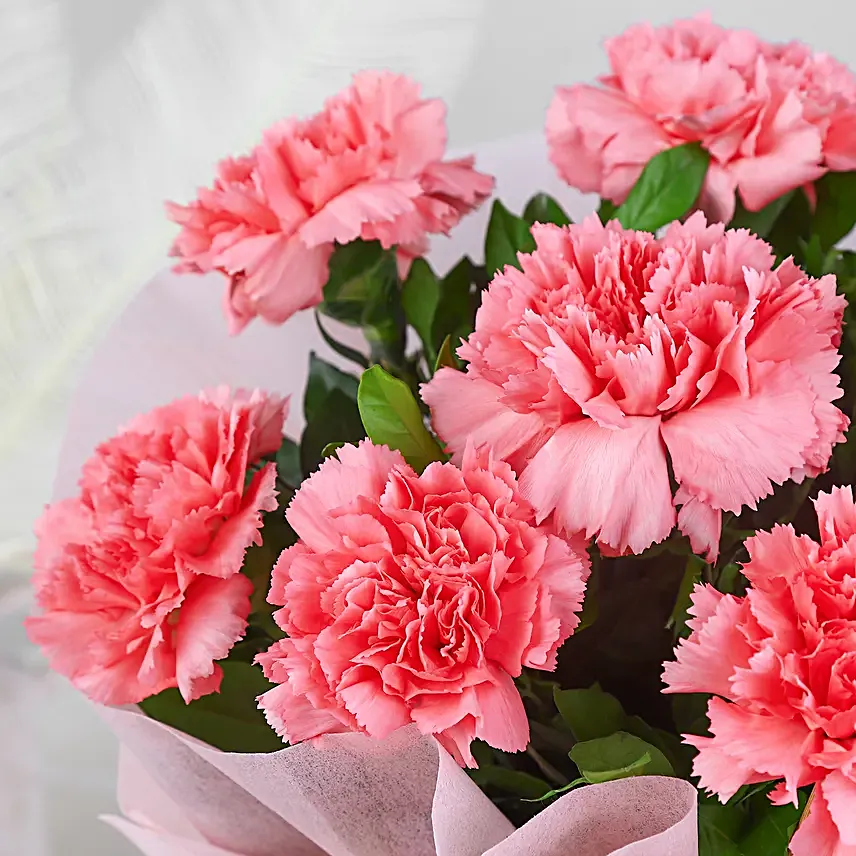Pink Carnations N Love - Bunch of 8