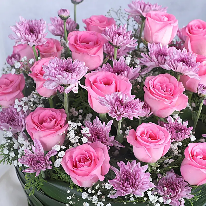 Beautiful Daisy With Delicious Chocolates Combo