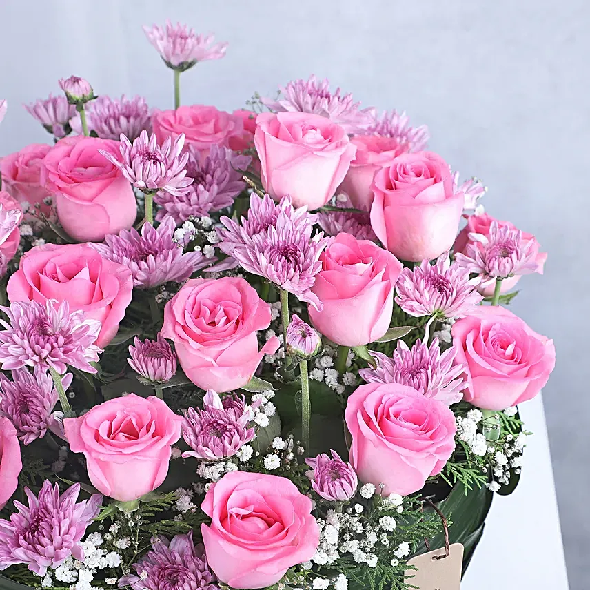 Beautiful Daisy With Delicious Chocolates Combo