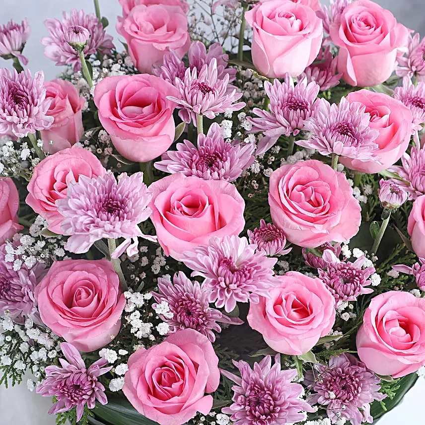 Beautiful Daisy With Delicious Chocolates Combo