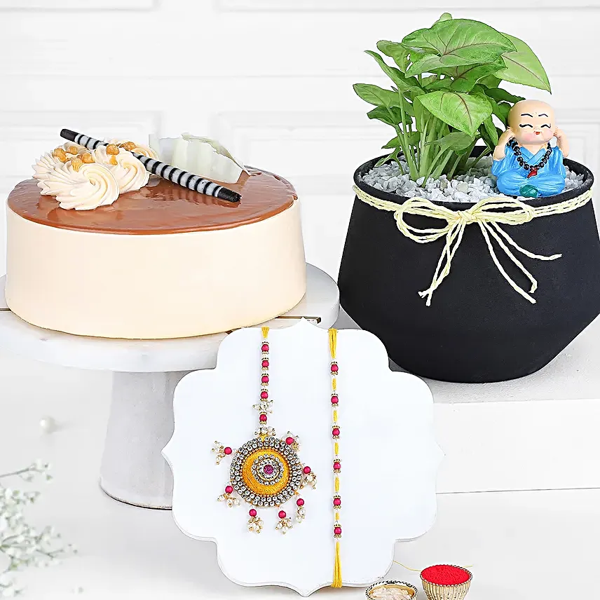 Bhaiya Bhabhi Rakhi N Plant With Cake Combo