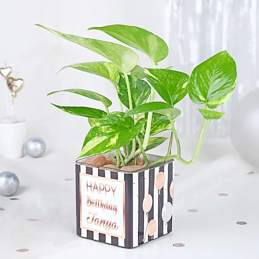 Birthday Bliss Arrangement