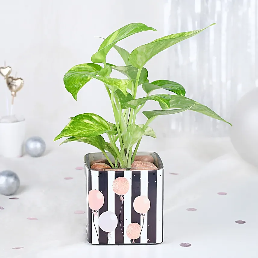 Birthday Bliss Arrangement