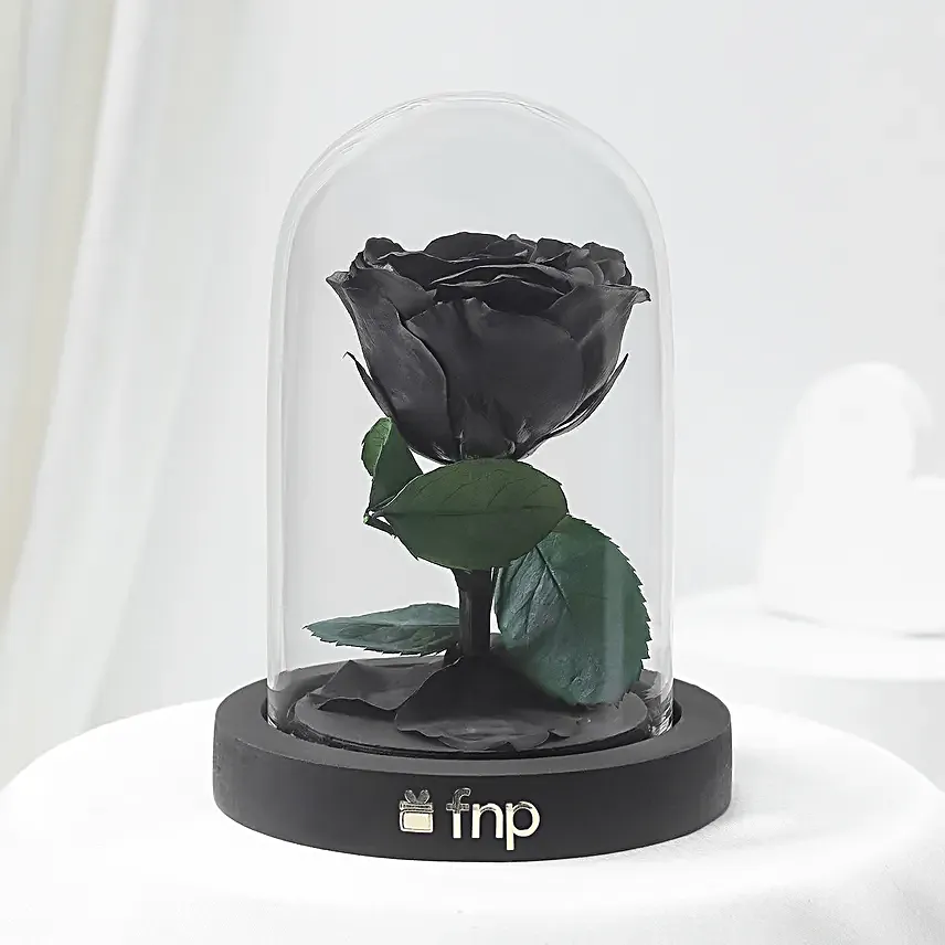 Black Amour Forever Rose