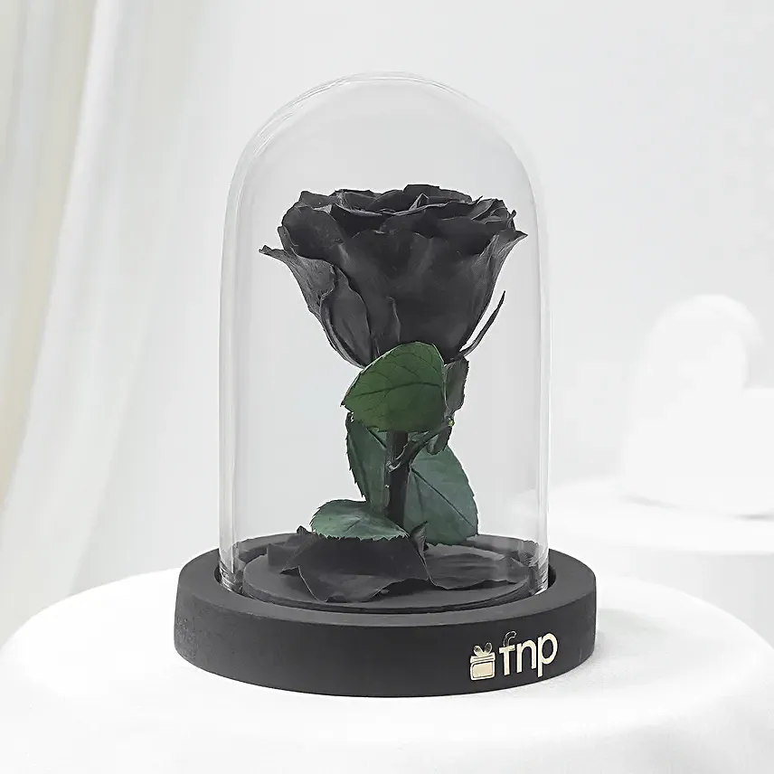 Black Amour Forever Rose