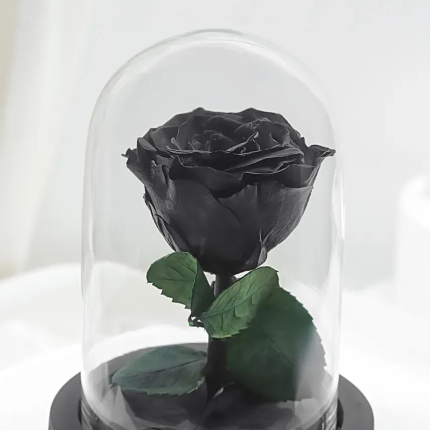 Black Amour Forever Rose