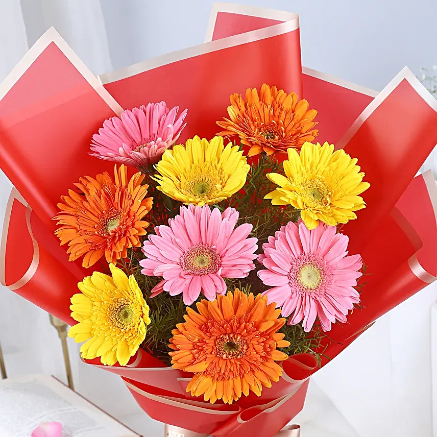 Blissful Gerbera Affair
