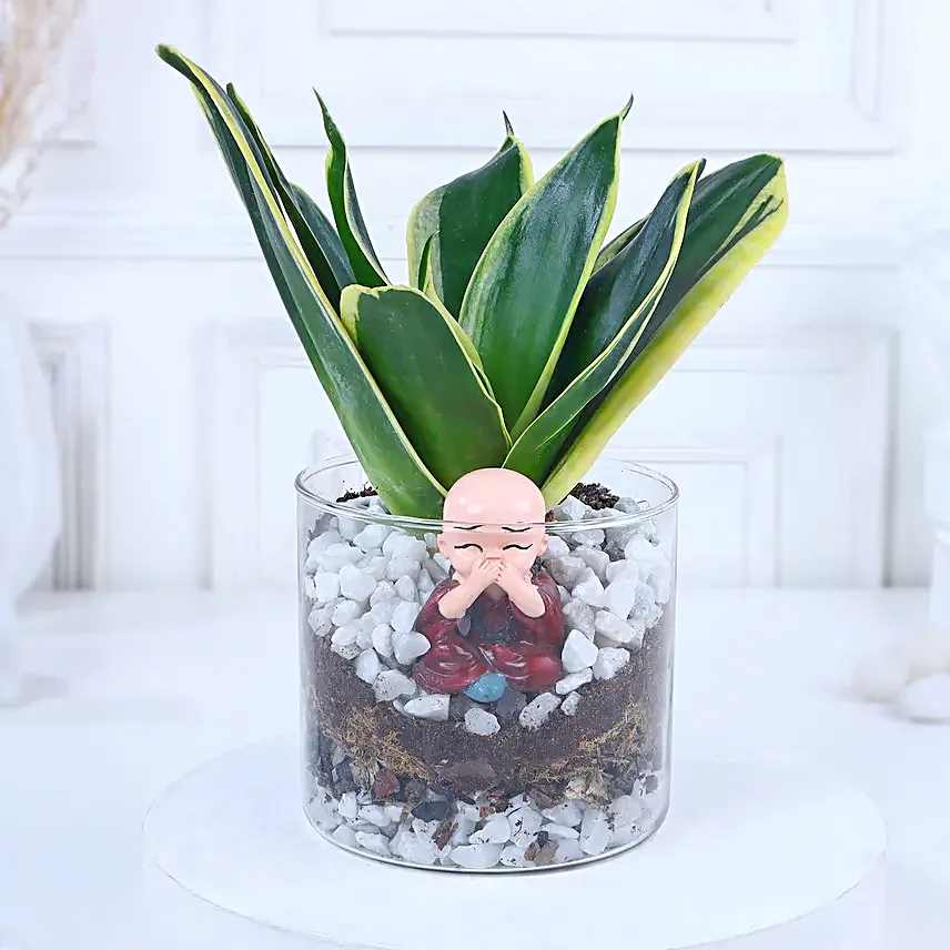 Blissful Zen Arrangement