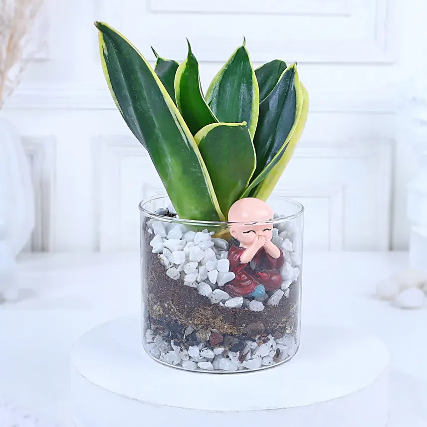 Blissful Zen Arrangement