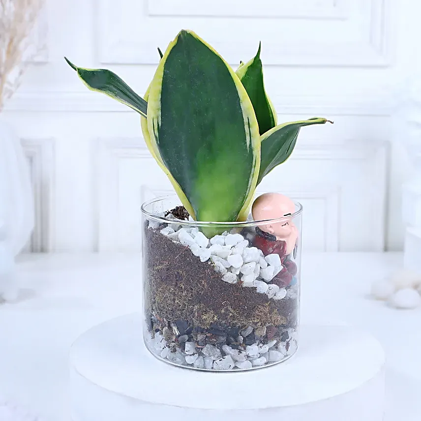 Blissful Zen Arrangement