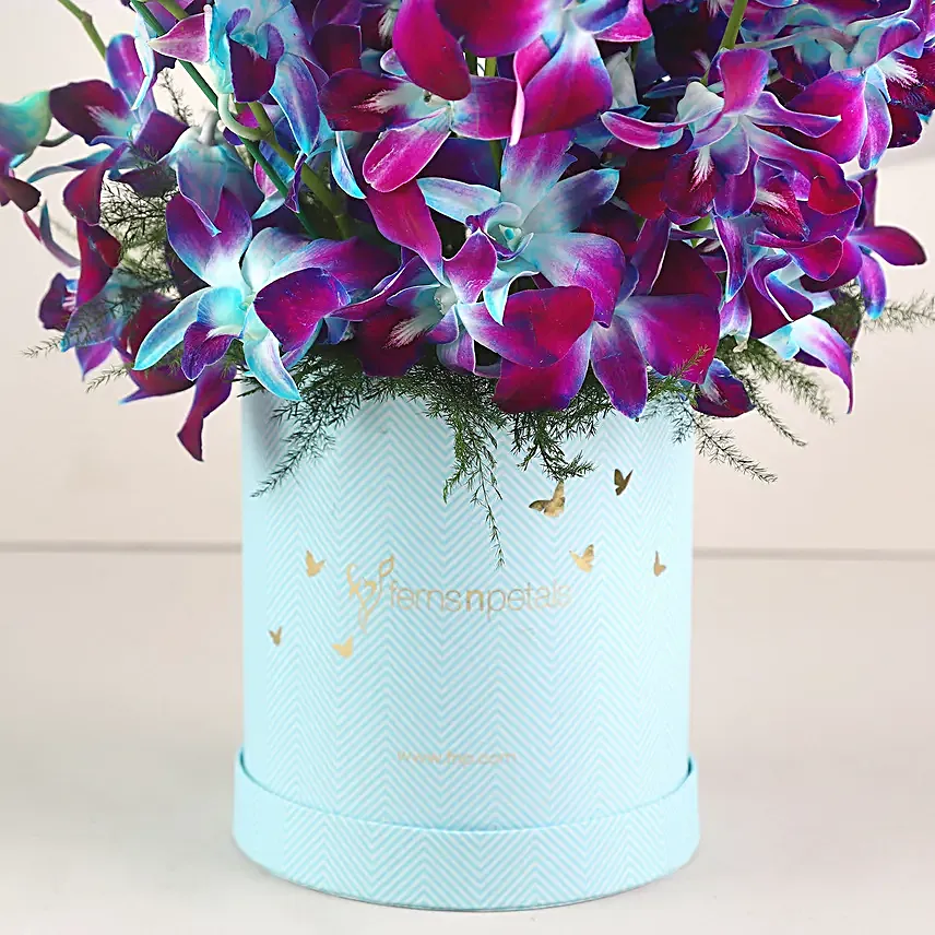 Blooming Blue Orchids In FNP Signature Box