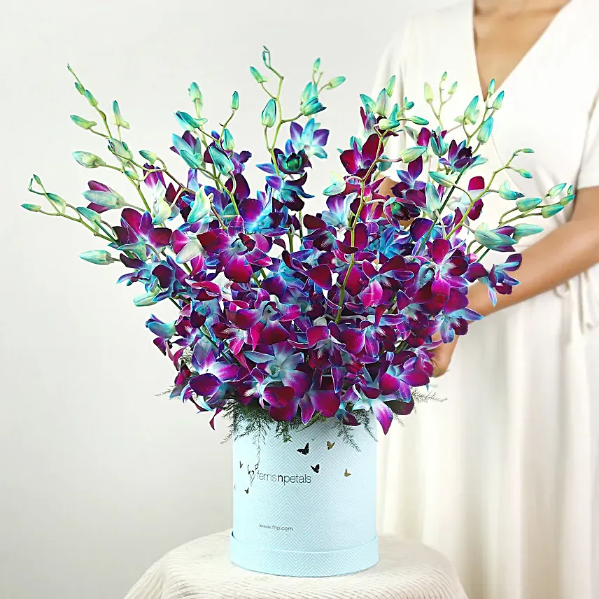 Blooming Blue Orchids In FNP Signature Box