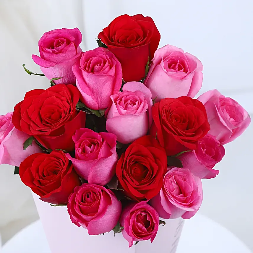 Blossom and Velvet Delight