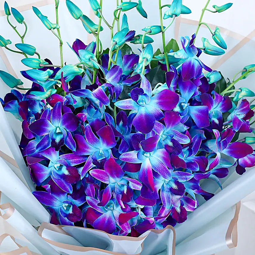 Blue Orchid Cascade