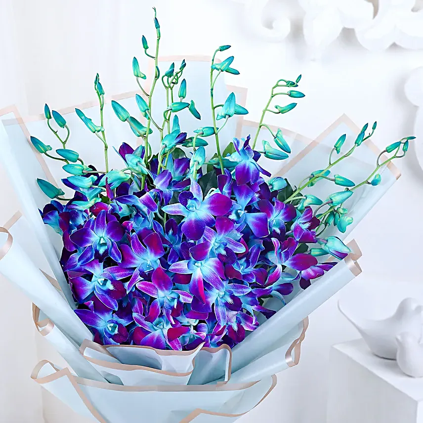 Blue Orchid Cascade
