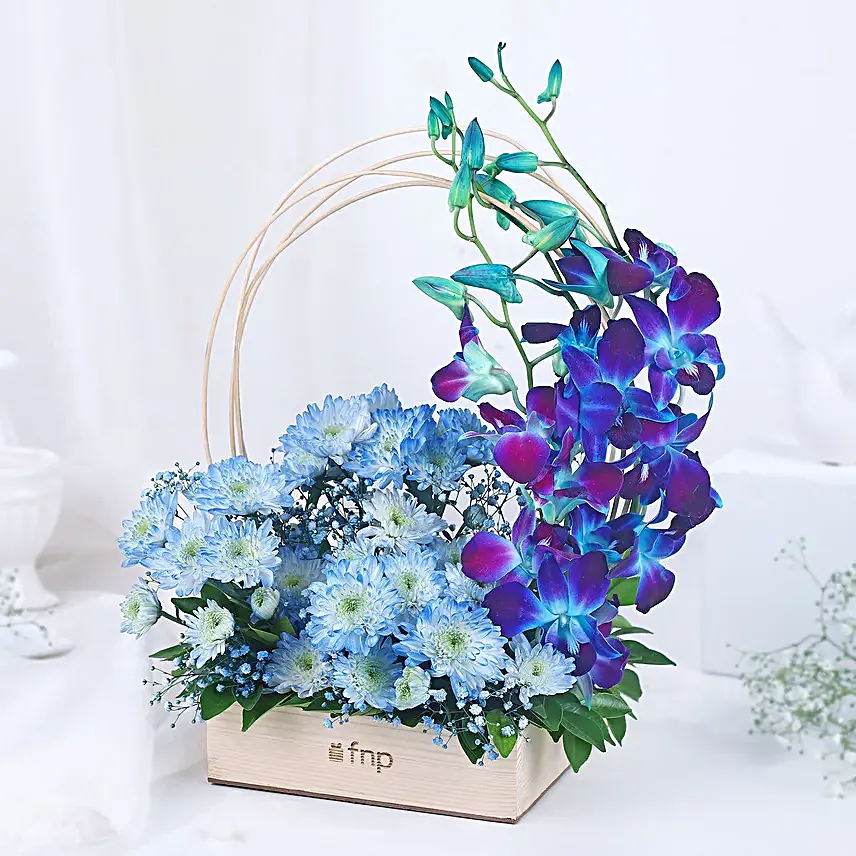 Blue Orchid Oasis Delight