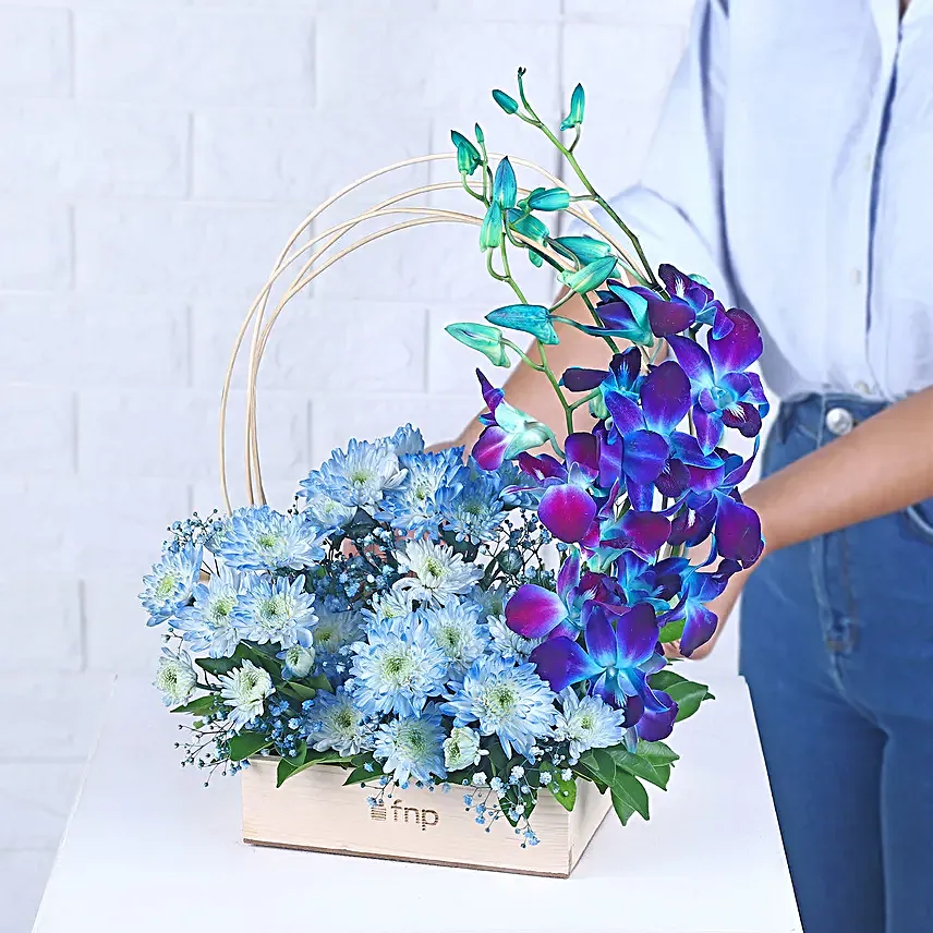 Blue Orchid Oasis Delight