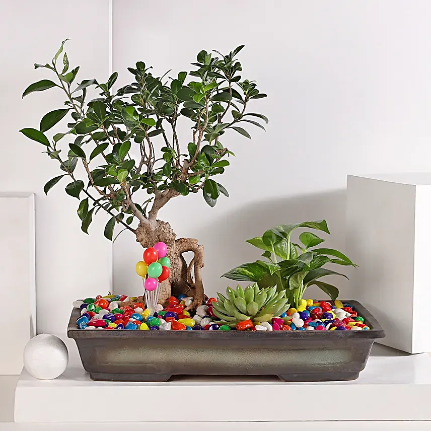 Bonsai and Money Plant Harmony