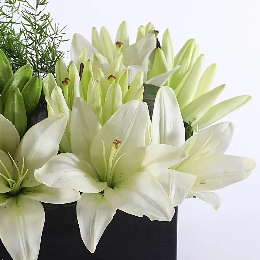 white asiatic lilies box arrangement for him