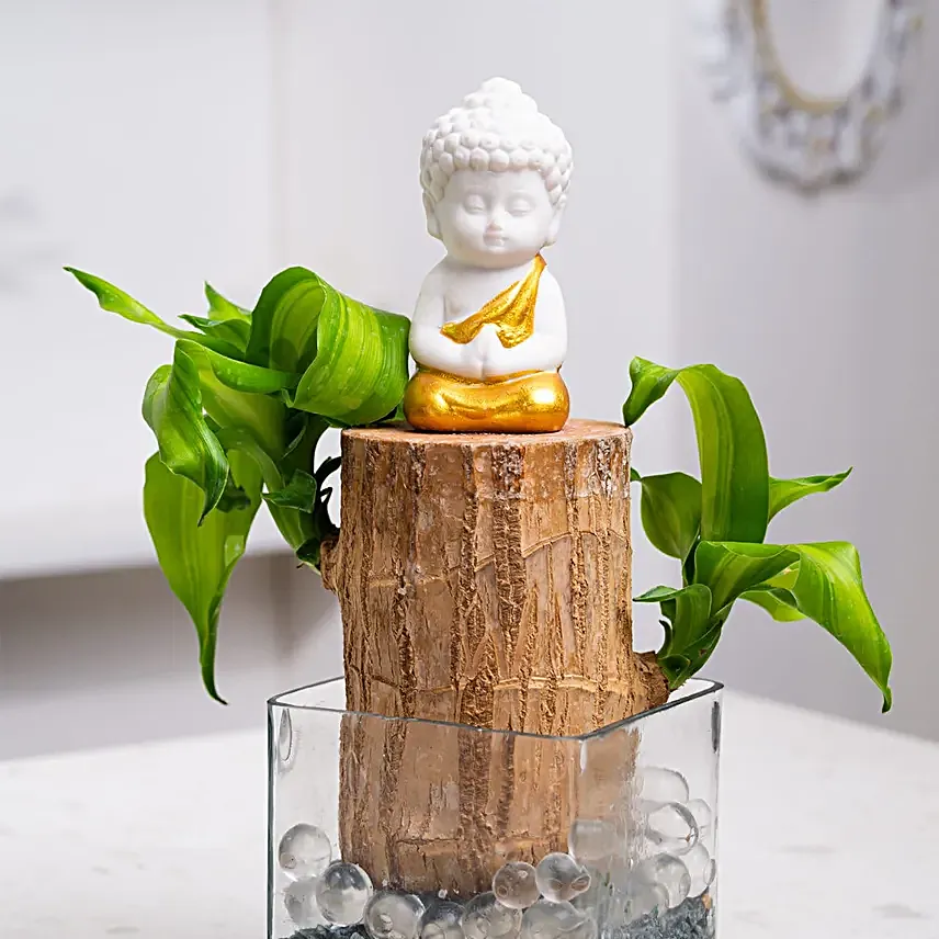 Brazilian Wood Kokedamas