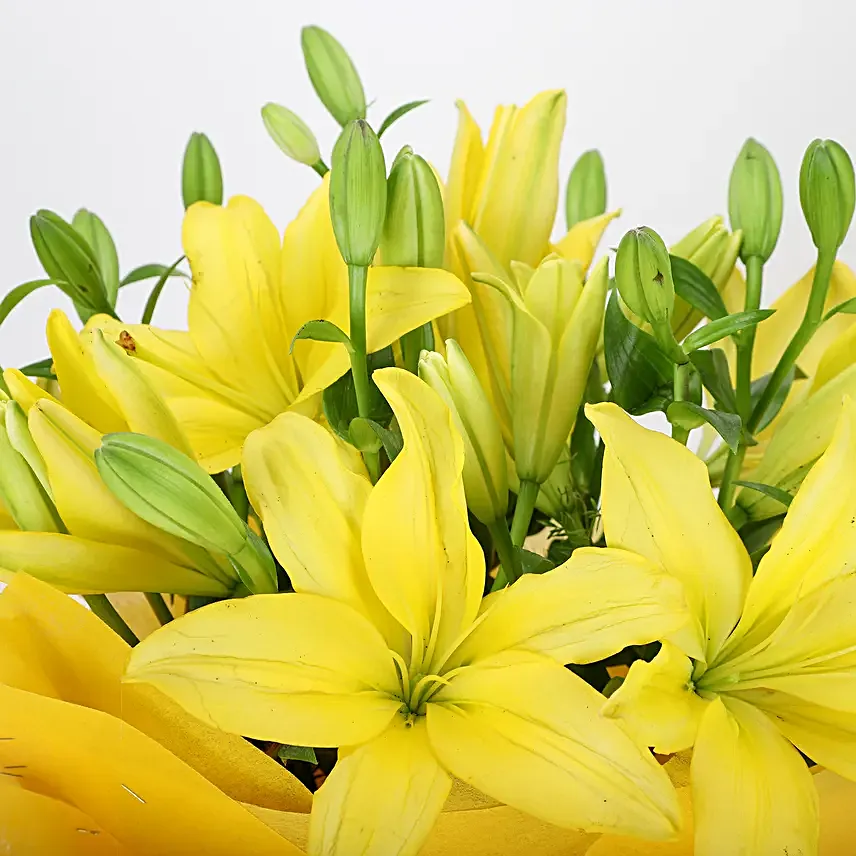 Bunch of 8 yellow asiatic lilies