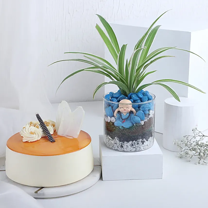 Buddha Blessings Plant N Cake Combo