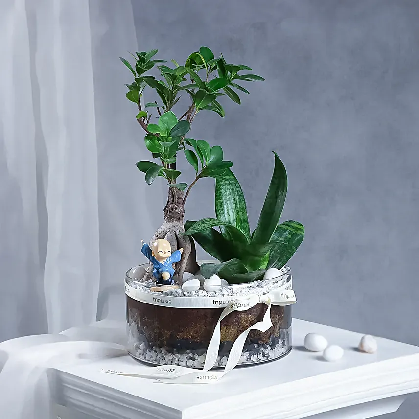 Buddhas Oasis