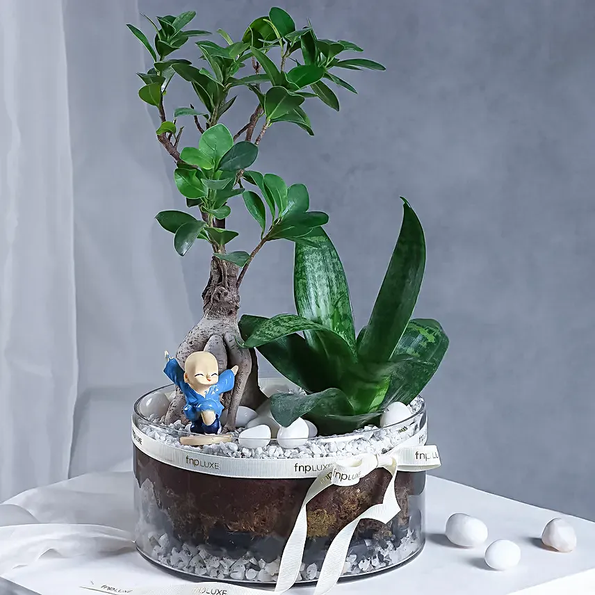 Buddhas Oasis
