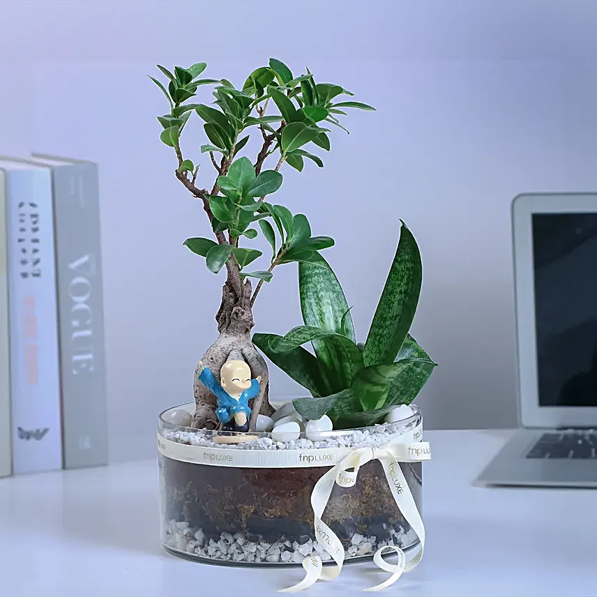 Buddhas Oasis