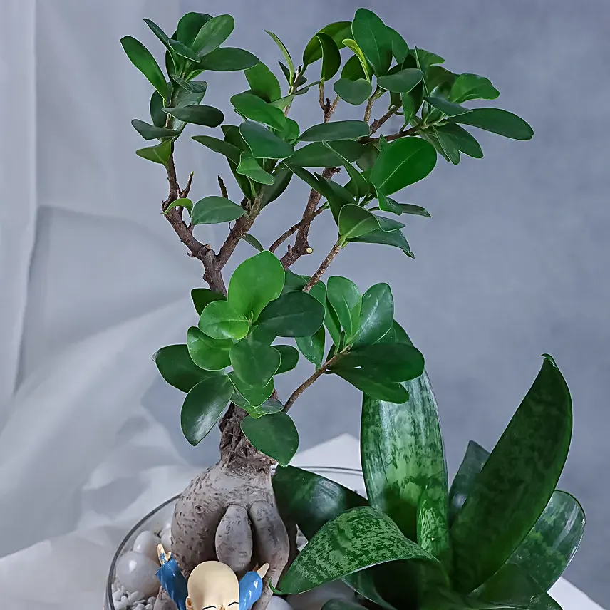 Buddhas Oasis
