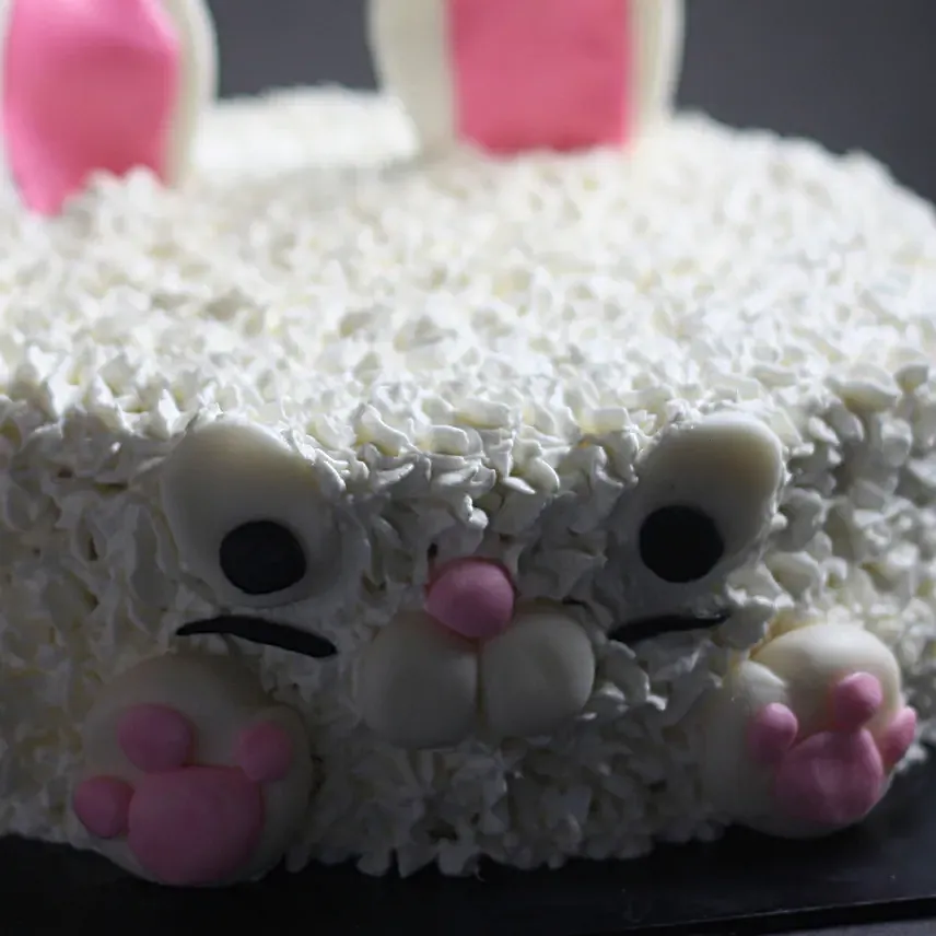 Cute Bunny Choco Cake - Kids