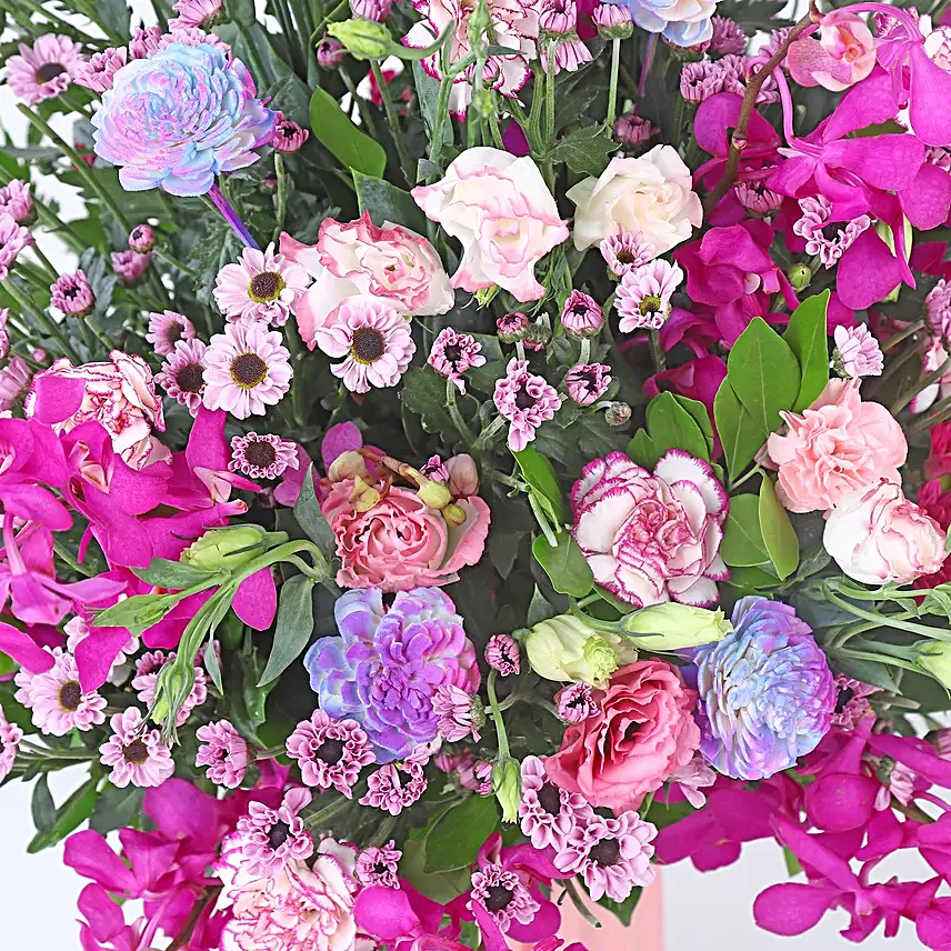 Carnation Blush Medley