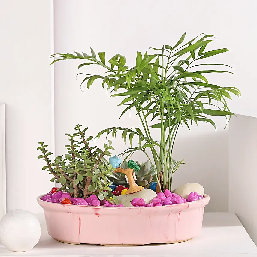 Chamaedorea and Jade Plant Harmony