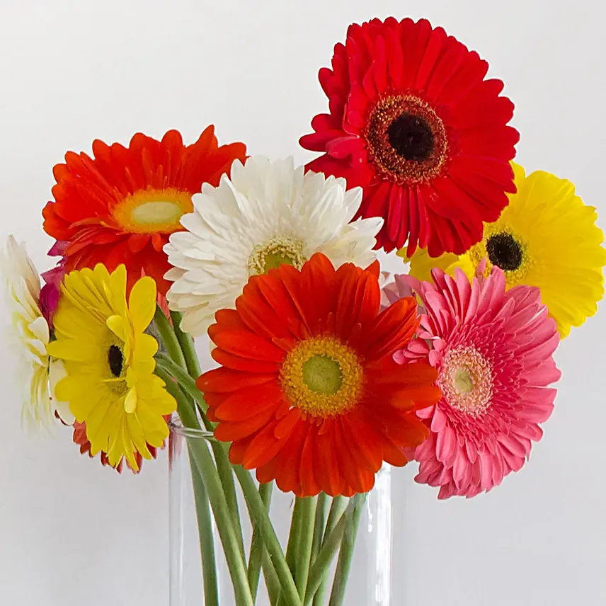 Cheerful Gerbera Blossoms Vase
