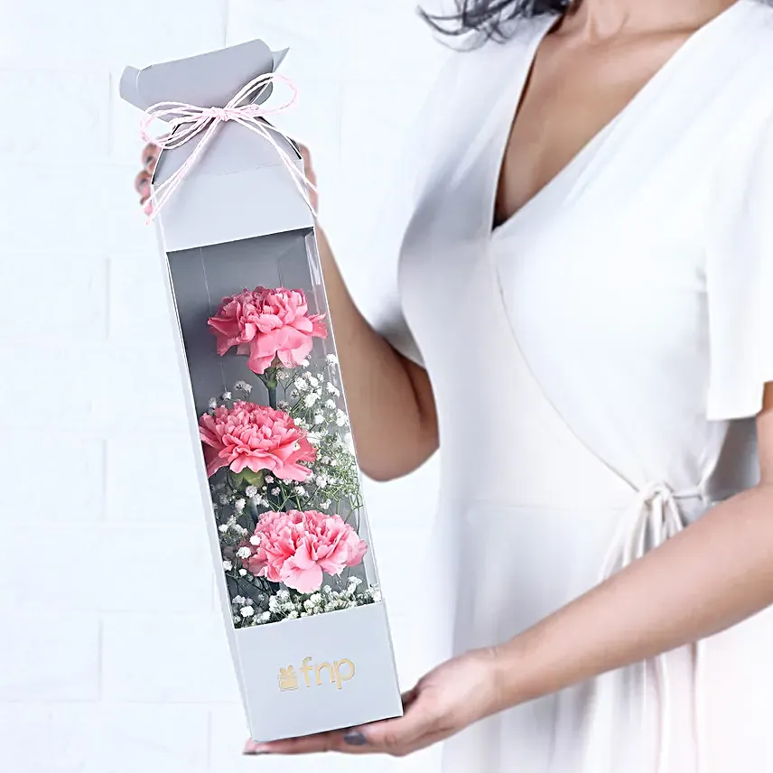 Cherished Carnation Arrangement
