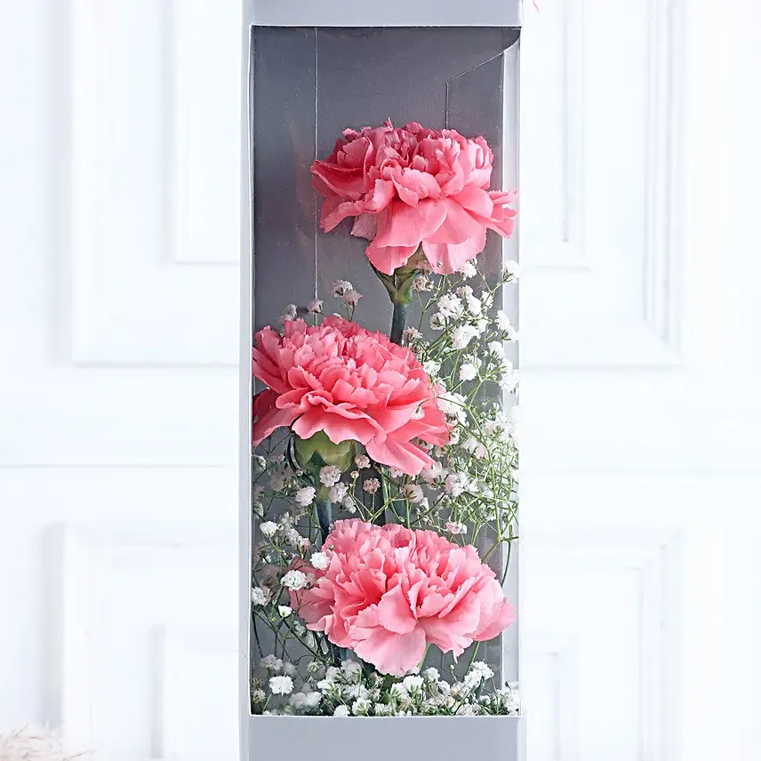 Cherished Carnation Arrangement