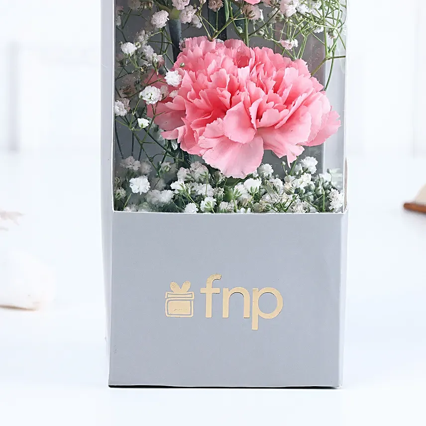 Cherished Carnation Arrangement