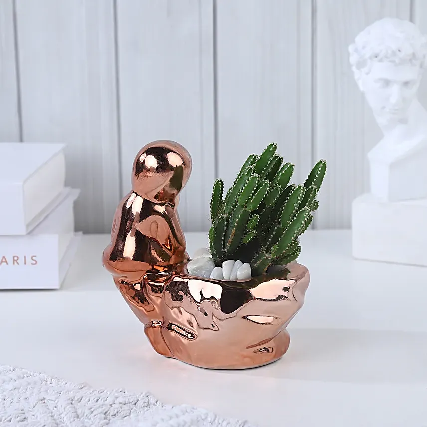 Chic Spire Cactus Radiance