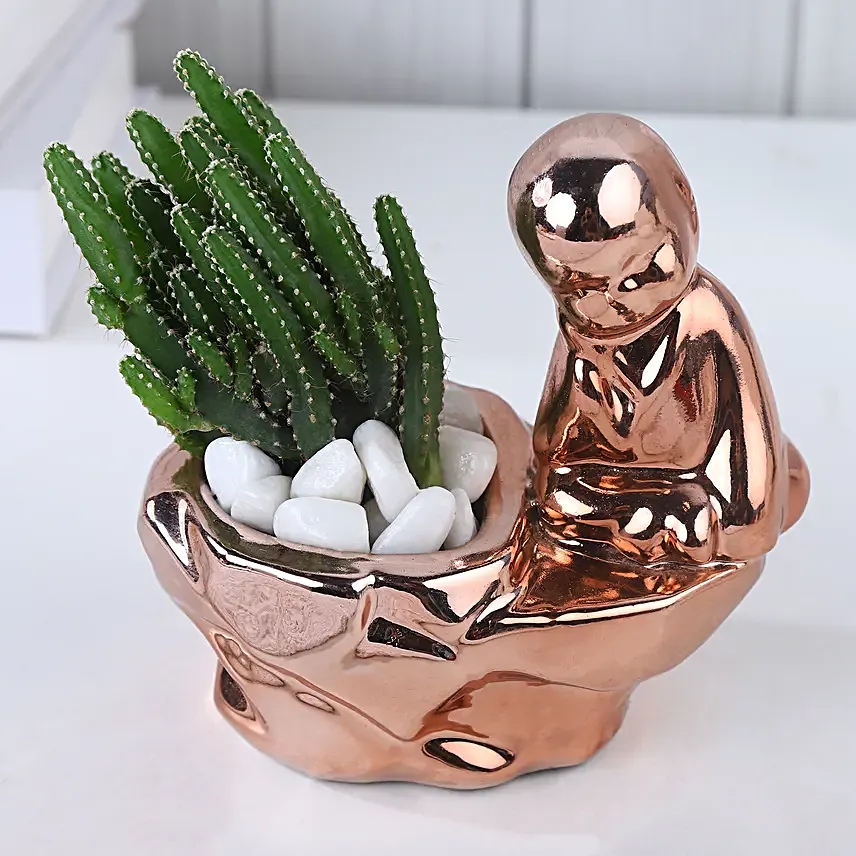 Chic Spire Cactus Radiance