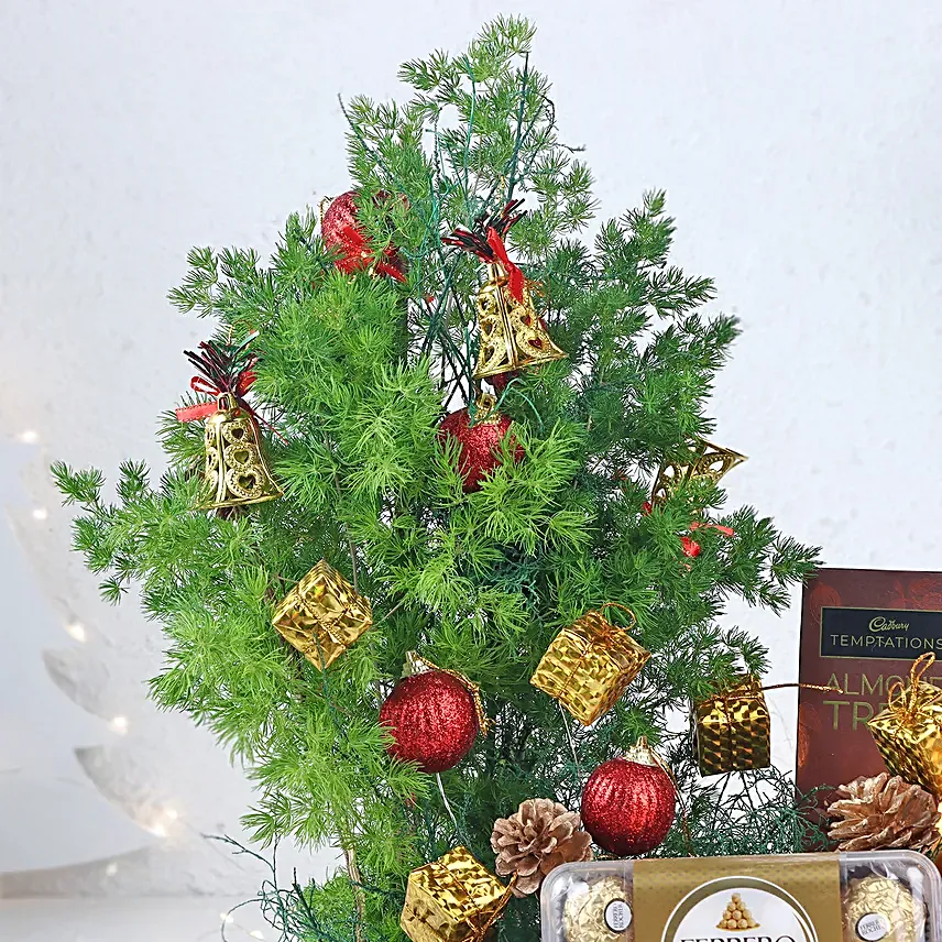 Chocolate Bliss Hamper